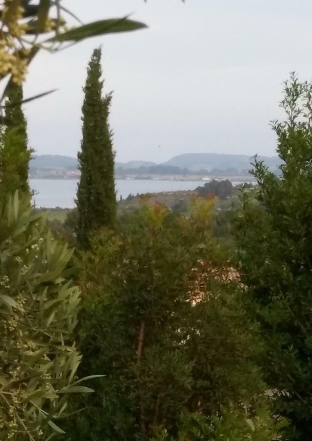 ناربون Villa Le Clos Fleuri المظهر الخارجي الصورة