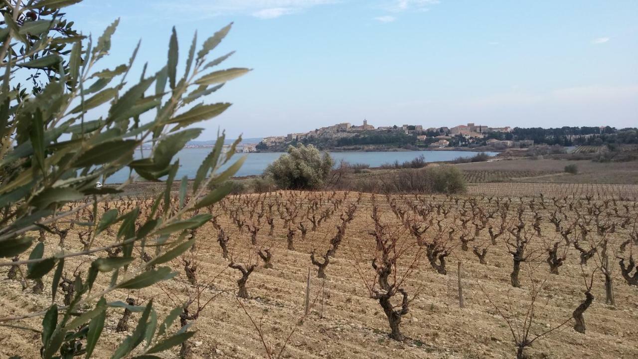 ناربون Villa Le Clos Fleuri المظهر الخارجي الصورة